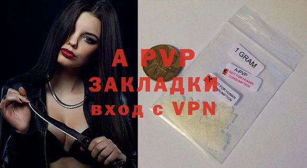гашик Дмитровск