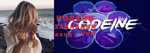 гашик Дмитровск