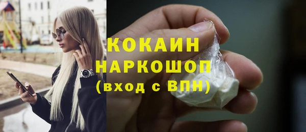гашик Дмитровск