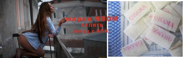 гашик Дмитровск