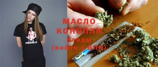 гашик Дмитровск